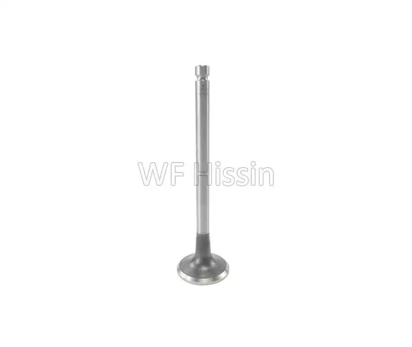Intake valve QC490D